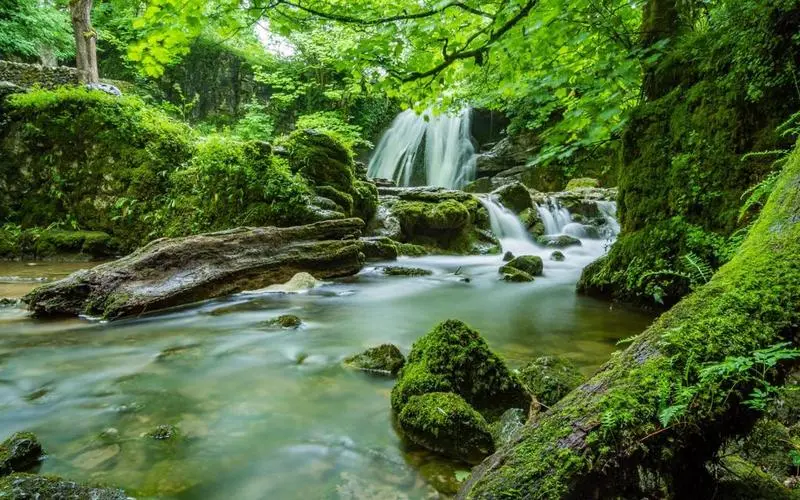 高精度独特